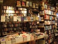 《莎士比亞書店》经典读后感10篇