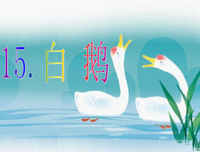 描写白鹅的经典句子