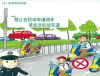 夏日单车之恋读后感10篇