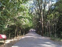 苏小旗：山上的春天，来得总是会晚一些