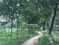 【九点晚祷】主啊，我们无论往哪里去，祢必保佑我们！