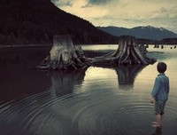 我们如何走到这一步读后感10篇