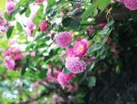 蝴蝶飞了读后感10篇