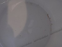 金灿的名言_关于金灿的名言