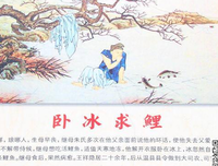鲤·来不及读后感精选10篇