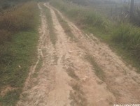 通往家乡的那条路