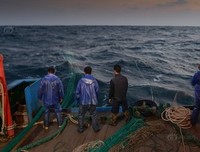 谋生记经典读后感10篇