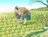 城堡 变形记读后感精选10篇