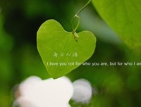 最经典的叶非夜经典语录