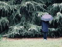 小轩的语句摘抄_关于小轩的语句