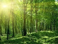 散文连苑丨人生一路的风景