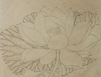 《出水芙蓉》经典观后感10篇