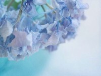 《古镜怪谈》经典观后感10篇