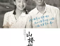 《杀之恋》影评10篇
