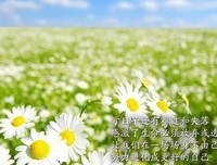 最新的MOSI经典名句