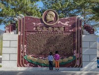 15条关于仔细的经典语句