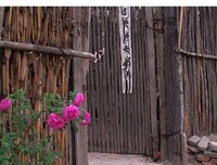 《活在当下》读后感10篇
