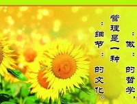 关于 光鲜 的座右铭