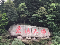 《爱情天梯》好看吗？经典观后感10篇