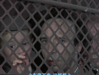 《美丽的日子》经典观后感10篇