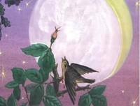 他爱的是玫瑰，而你是蔷薇读后感10篇