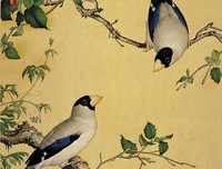 关于梅郎的格言