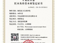 迟到的身份证