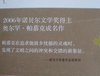 我的名字叫红经典读后感10篇