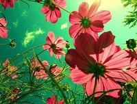 罗曼·罗兰经典句子