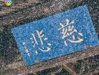 今天我的朋友圈，只留给这些陌生人