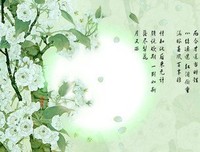 最经典的《纳兰词》经典语句