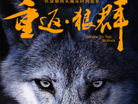 一个人生活的第一年读后感10篇
