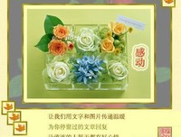 棺材里的俏新娘