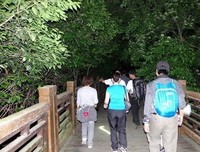 《夜行记》读后感10篇