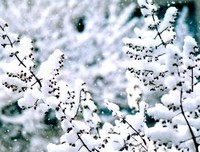 《摄手记》经典读后感10篇