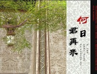 《何日君再来》的观后感10篇