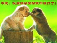 最经典的《变形计》经典句子
