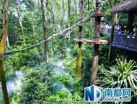 《身在其中》的影评10篇