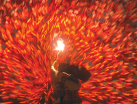 《火人》经典观后感10篇