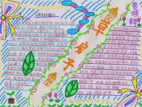 Switch读后感精选10篇