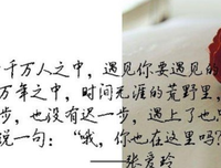最新的张爱玲经典语录