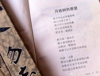 最新的《左耳》电影台词