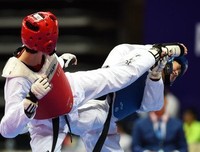 《《我来折》（全5册）》读后感10篇