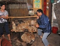 《事事本无碍》读后感10篇
