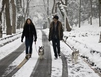 如果能和自己的爱人在雪中漫步