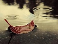 其实我们不用那么急