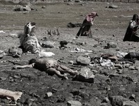 西藏生死书读后感10篇