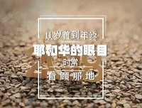 【九点晚祷】主啊，祢是乐意赐福的上帝，且有无尽的恩