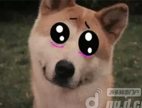 面对世界，萌一下吧