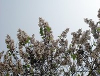 《消失在远空中》好看吗？经典观后感10篇